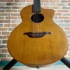 LOWDEN - S25J 1994 + ETUI NON D'ORIGINE + FISHMAN PIEZO ACTIF