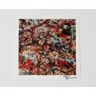 PRS GUITARS - ED SHEERAN COSMIC SPLASH HOLLOWBODY BARITONE LTD