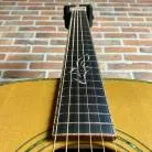 FURCH - D25 CR 2012 + etui