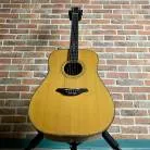 FURCH - D25 CR 2012 + etui