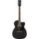 IBANEZ - PC14MHCEWK WEATHERED BLACK OPEN PORE