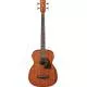 IBANEZ - PCBE12MHOPN OPEN PORE NATURAL