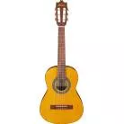 IBANEZ - GA1OAM OPEN PORE AMBER