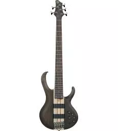 IBANEZ - BTB605TGF TRANSPARENT GRAY FLAT
