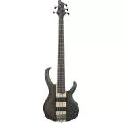 IBANEZ - BTB605TGF TRANSPARENT GRAY FLAT