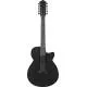 IBANEZ - AEG1221BOT BLACK OUT
