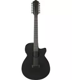 IBANEZ - AEG1221BOT BLACK OUT