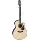 TAKAMINE - NEX CUTAWAY RNV460C