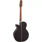 TAKAMINE - NEX CUTAWAY RNV460C