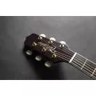 TAKAMINE - NEX CUTAWAY RNV460C