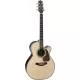 TAKAMINE - 10 - NEX CUTAWAY P10NC