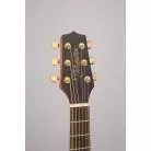 TAKAMINE - 30 - NEX 3/4 NATURAL SATIN