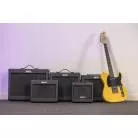 EKO - 2 CANAUX + FX LOOP + REVERB - HP 12" - 35W