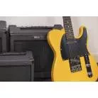 EKO - 2 CANAUX + FX LOOP + REVERB - HP 10" - 25W