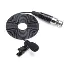 SAMSON - CONCERT 99 PRESENTATION