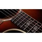 TAYLOR - SUNSET BLVD 714CE SEB IND ROSEWOOD / REDWOOD SHADED EDGEBURST