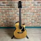 TAKAMINE - GF30CE NAT