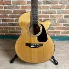 TAKAMINE - GF30CE NAT