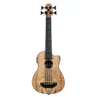 KALA - KAL-UBASS-SP-MAPL-FS SPALTED U-BASS  LIVRE AVEC HOUSSE