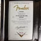 FENDER - CUSTOM SHOP TELE 65 HEAVY RELIC 3TS + ETUI