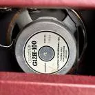 RIVERA - CHUBSTER 55 + FOOTSWITCH