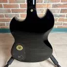 GUILD - POLARA KIM THAYIL