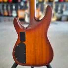 SCHECTER - C1 E/A CLASSIC ZEBRAWOOD SN/IW22100846