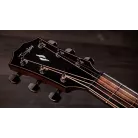 TAYLOR - 814CE - 814 NEXT GENERATION NATURAL