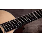 TAYLOR - 314CE NEXT GENERATION SAPELE/SITKA 2026