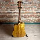 TAYLOR - 210CE-K + HOUSSE D'ORIGINE