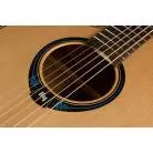 LâG - GAUCHER HYVIBE 10 DREADNOUGHT CUTAWAY