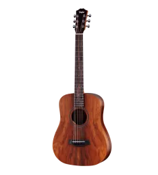 TAYLOR - BTE-KOA
