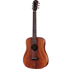 TAYLOR - BTE-KOA