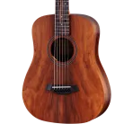 TAYLOR - BTE-KOA