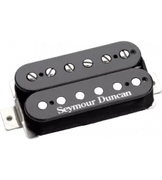 SEYMOUR DUNCAN - DUNCAN...