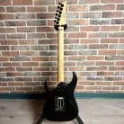IBANEZ - RGR320EX + TIGE VIBRATO
