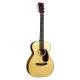 MARTIN - CUSTOM SHOP 0-18