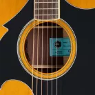 EPIPHONE - MARCUS KING EL DORADO