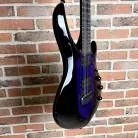 MUSIC MAN - MAJESTY 6 WISTERIA BLOSSOM