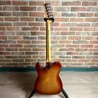 FENDER - TELECASTER PLAYER PLUS SIENNA BURST