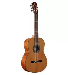 ALVAREZ - AC65 ARTIST