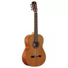 ALVAREZ - AC65 ARTIST