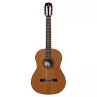 ALVAREZ - AC65 ARTIST