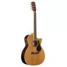 ALVAREZ - AG75WCE ARTIST