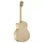 ALVAREZ - AJ80CE ARTIST