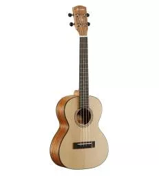 ALVAREZ - RU26T REGENT UKE