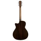 ALVAREZ - MGA70CE CUSTOM MASTERWORKS