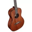 ALVAREZ - MP66 MASTERWORKS