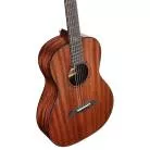 ALVAREZ - MP66 MASTERWORKS