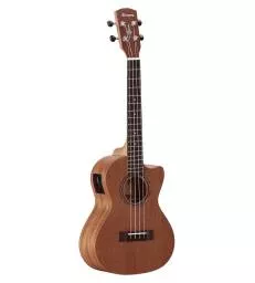 ALVAREZ - RU22TCE REGENT UKE